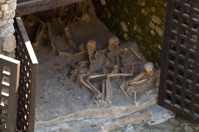 4/hours Half Day Trip Excursion to Herculaneum - Guide included - The Guide Experience: How Antonio’s Style Makes Ruins Click