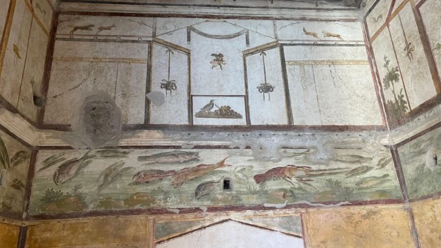 Amalfi Coast: Pompeii, Vesuvius, & Wine Tasting with Lunch - Casa Setaro Winery lunch and wine tasting: a relaxed finish, not a movie set