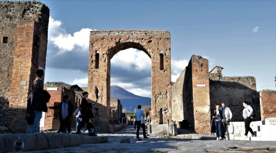 Campania Express Train Pompeii Tour with Vesuvius or Winery - Pompeii with a 2-hour live guide and a useful free hour