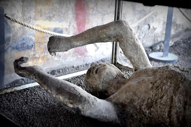 Customizable Private Tour of Herculaneum & Pompeii - Pompeii and Herculaneum, two UNESCO cities on a single private day