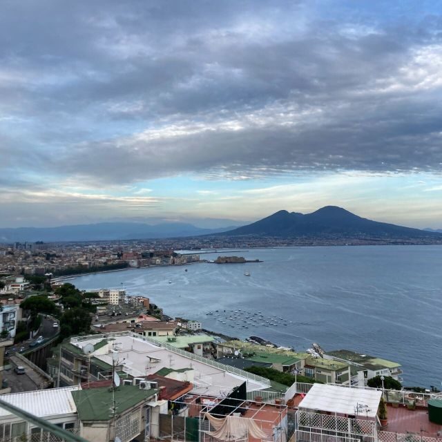 Ercolano: Half-Day Sightseeing Tour to Vesuvius - Why this half-day trip feels like the right length