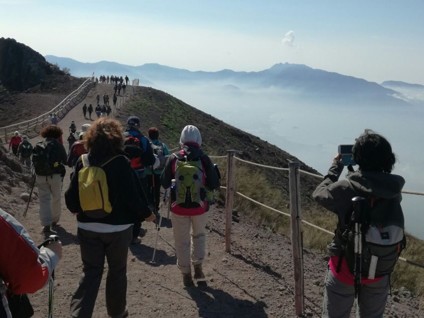 Ercolano: Half-Day Sightseeing Tour to Vesuvius - Getting from Ercolano to the summit without the headache