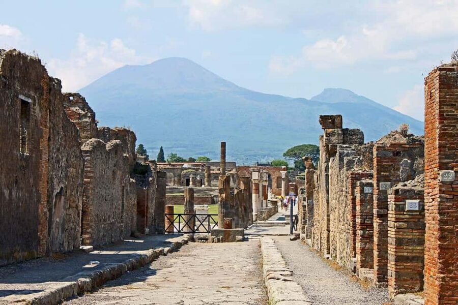 From Naples: Pompeii and Vesuvius Day Tour - Key highlights worth showing up for
