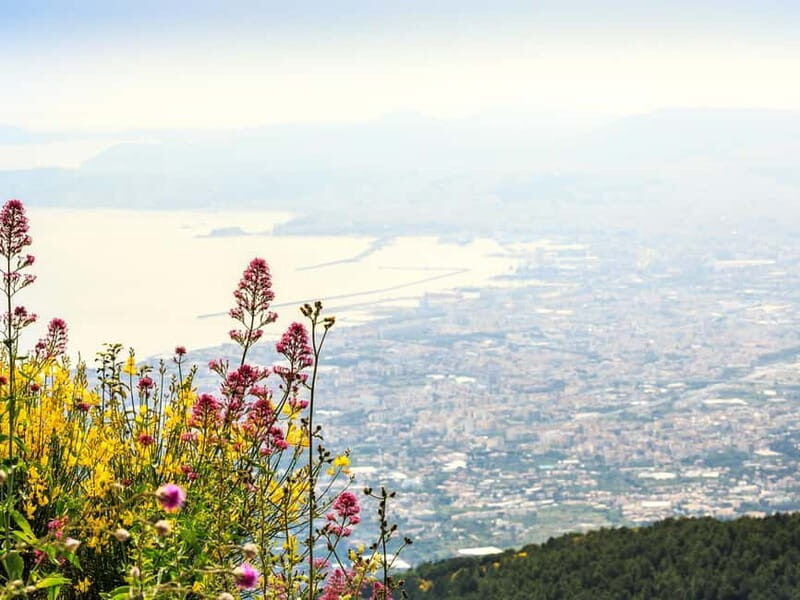 From Naples Port: Pompeii and Mt. Vesuvius Day Trip - Riding Back Down: The Transition to Pompeii