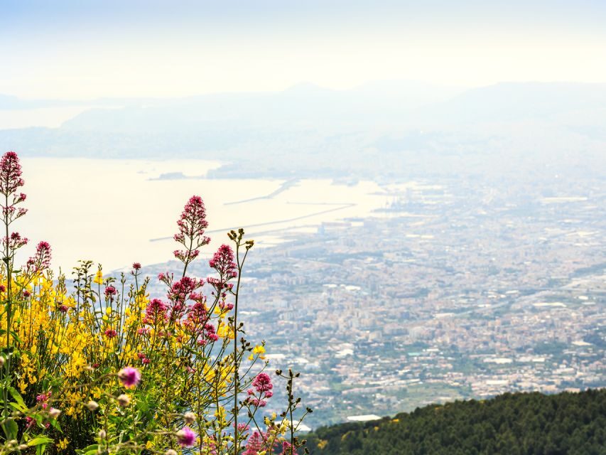 From Pompeii: Bus Transfer to Vesuvius with Park Entry Fee - From Pompeii to Vesuvius: the logistics start at Via Roma 32