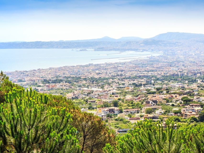 From Pompeii: Bus Transfer to Vesuvius with Park Entry Fee - Timing that actually works: pacing, meeting points, and the return