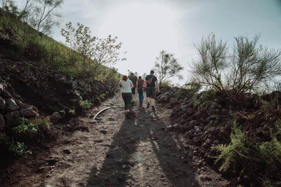 From Pompeii: Mount Vesuvius Guided Tour with Transfer - Who should book this Vesuvius crater hike?