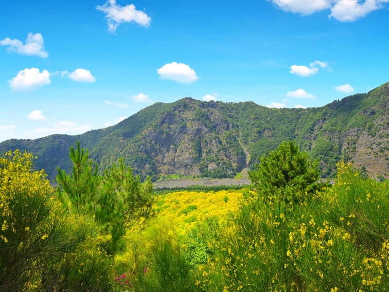 From Pompeii: Mt. Vesuvius Hike & Tour by Bus - From Pompeii Pickup to Vesuvius: The Ride You Actually Want