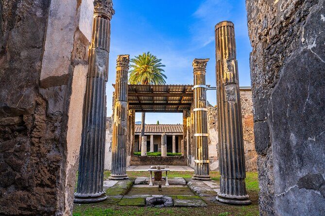 From Rome: Pompeii and Vesuvius Crater Experience with lunch - Vesuvius National Park: the scenic hike, optional cone walk, and Bay of Naples views