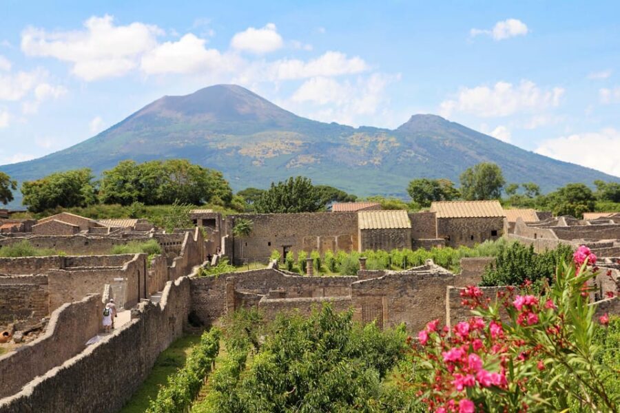 From Salerno_Pompeii Express_bus+ skip the line ticket - Back to Salerno: Keeping the Evening Easy
