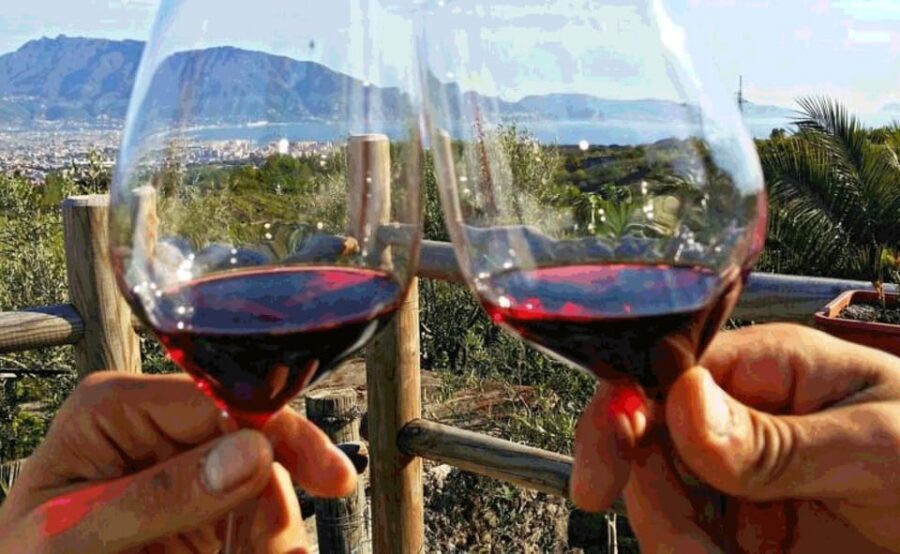 From Sorrento: Pompeii & Mt. Vesuvius Tour with Lunch & Wine - How long it really takes (and how to plan your day)
