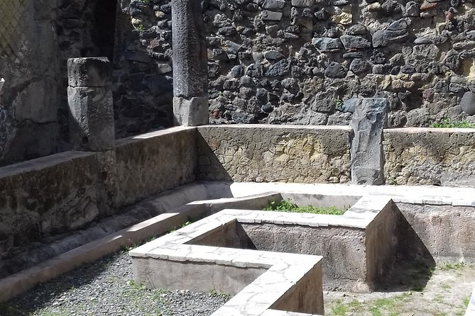 Herculaneum and the Amalfi Coast(Sorrento-Positano) - A private guide + time to ask questions (not just follow)