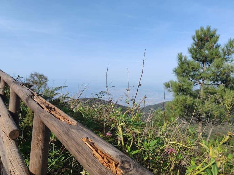 HERCULANEUM AND VESUVIUS: PRESTIGE TOUR FROM NAPLES - Mount Vesuvius and the Gran Cono del Vesuvio Skip-Line Benefit
