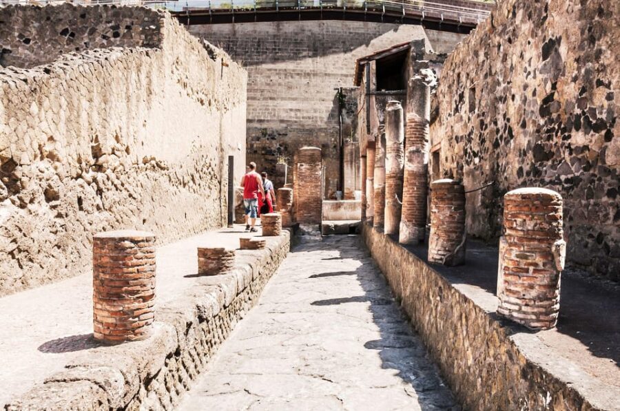 Herculaneum Guided Walking Tour with Entry Ticket - Key highlights worth planning around