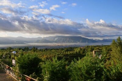 Mt. Vesuvius Wine Tasting and Lunch Experience from Pompeii - Vineyard walk on Vesuvius: what you’ll actually see and learn