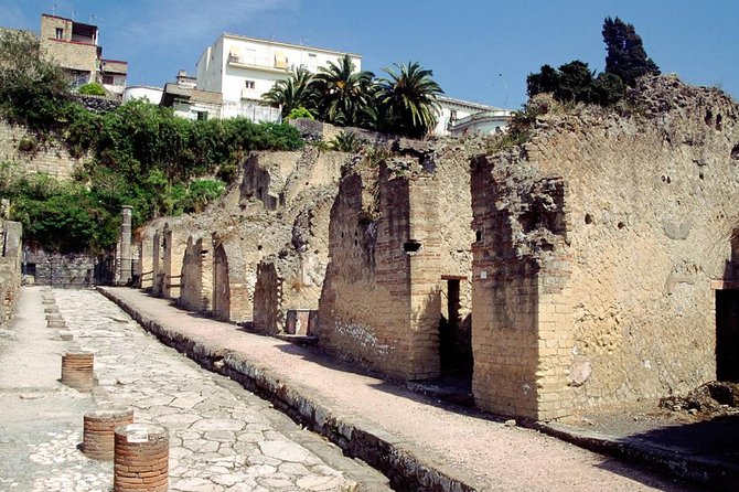 Naples: Pompeii, Herculaneum, and Vesuvius Tour by Minivan - The Minivan Plan: Small Group, Pickup Reality, and Meeting Points
