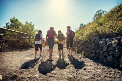 Pompeii and Vesuvius Wine Tasting Private Tour - Vesuvius crater climb: what you gain (and what it costs)