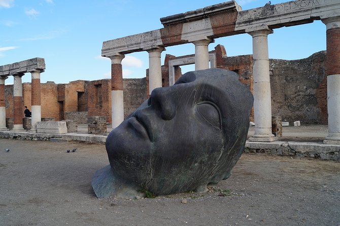 Pompeii Guided Tour & Lunch with Superior Wine Tasting - Who should book this Pompeii + wine lunch tour