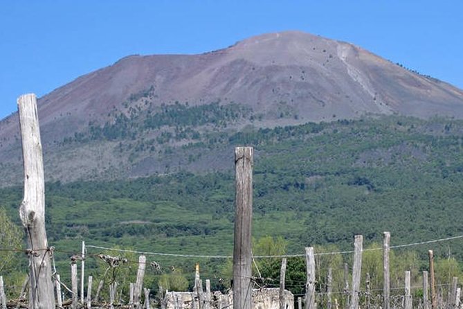 Pompeii, Herculaneum and Vesuvius Private Guided Tour - Piazza Giuseppe Garibaldi pickup and the 8:30am start