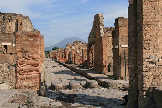 Pompeii & Herculaneum Day Trip from Naples with Lunch - What “Guided Pompeii” Really Means in a Time-Limited Day