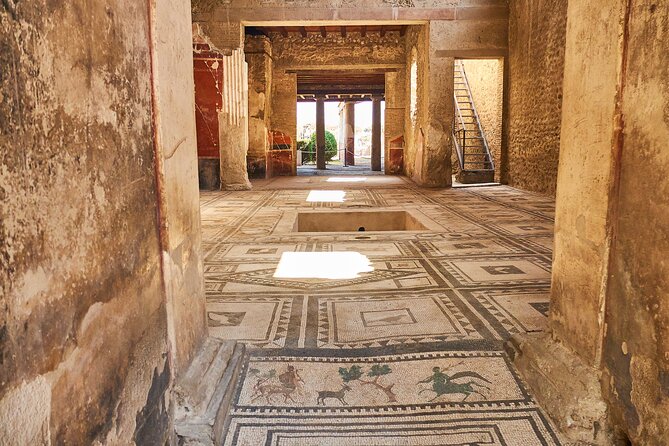 Pompeii, Herculaneum & Mt Vesuvius Private Tour from Naples - Price and Value: What $432.50 Really Buys You