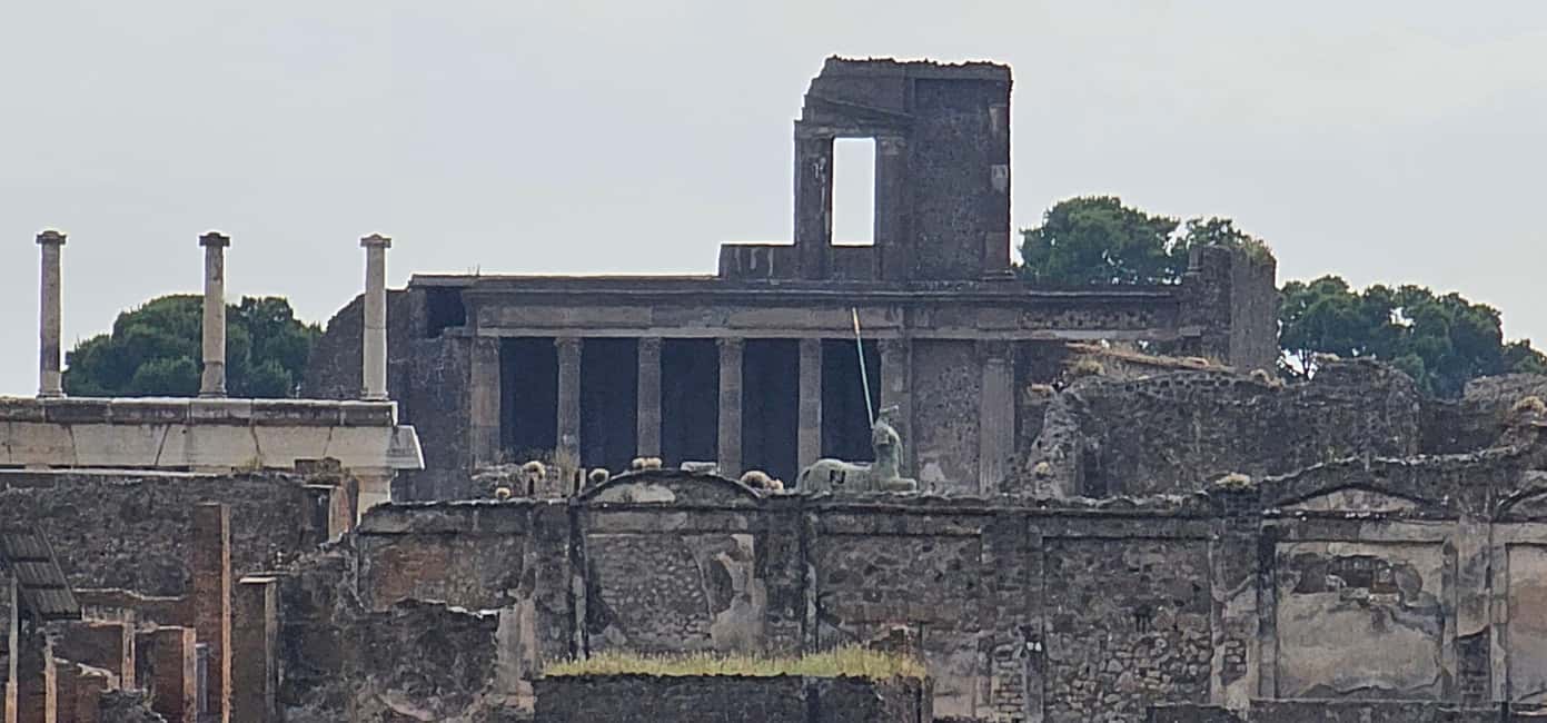 Pompeii, skip-the-line ticket with smartphone audio guide on App - Should You Book This Pompeii Experience?