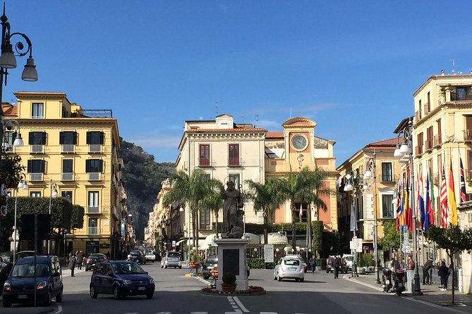 Pompeii-Sorrento-Positano tour from Naples, with licensed guide included - Private driver from Naples: the real advantage over bus tours