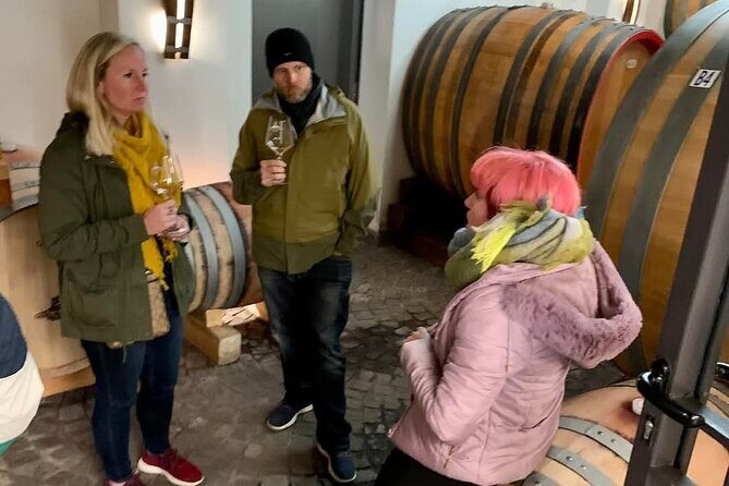 Pompeii Vesuvius Wine Farm Tour - Pompeii Tickets, ID, and the No-Guide Reality
