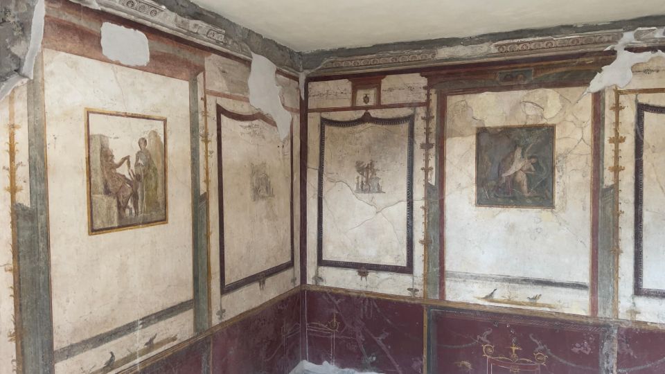 Pompeii - Vesuvius & Wine from Amalfi Coast all inclusive - Casa Setaro Winery lunch and wine tasting that feels integrated