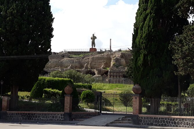 Pompeii & Wine Tasting : Private Day Trip from Naples - Vineyard lunch and Campania wine tasting at Vesuvius foothills