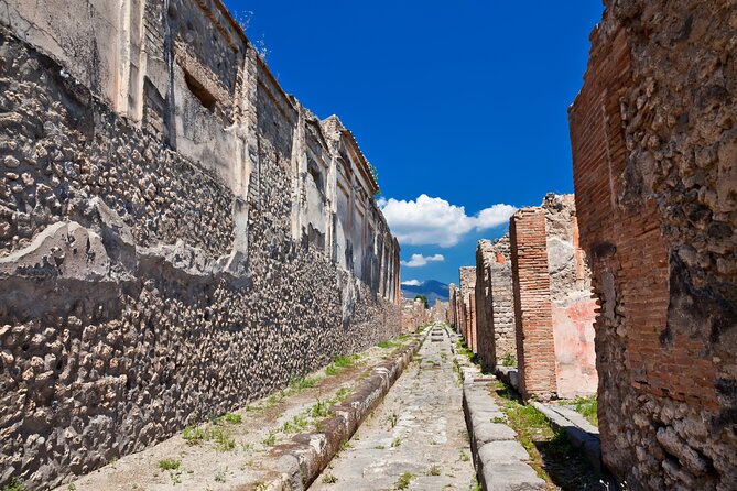 Private Guided Tour in Pompeii - Your guide and driver: the difference between seeing and understanding