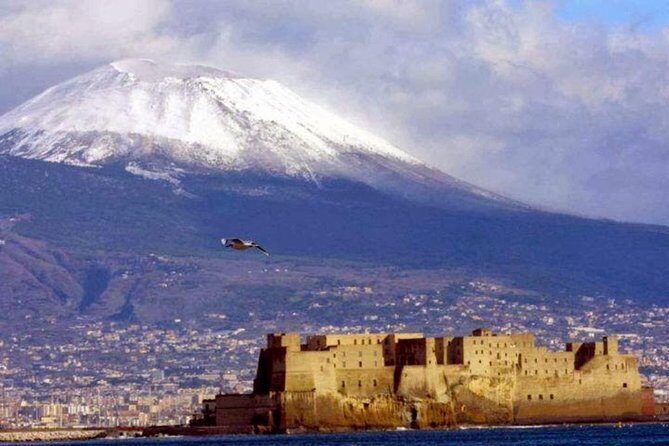 Private Half-Day Tour of Mt. Vesuvius - Getting From Naples to the Volcano Without Losing the Day