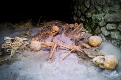 Private Herculaneum Tour – Top Experience with Local Guide - Getting There From Naples or Sorrento: Pickup vs. Walk-Up