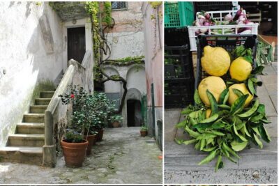 Private Tour: The Path of the Lemons - The Secret Lemon Garden Moment You’re Paying For