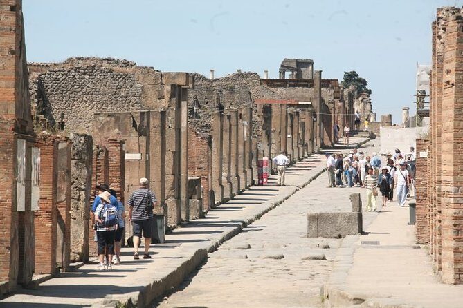 Salerno Shore Excursion: Private Pompeii Tour - Should You Book the Salerno Shore Excursion: Private Pompeii Tour?