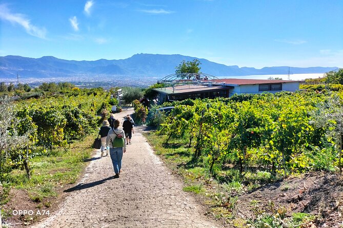 Shore excursion Naples city tour, Pompeii & Winery Cantina del Vesuvio - Naples panoramic tour: fast orientation with real photo angles
