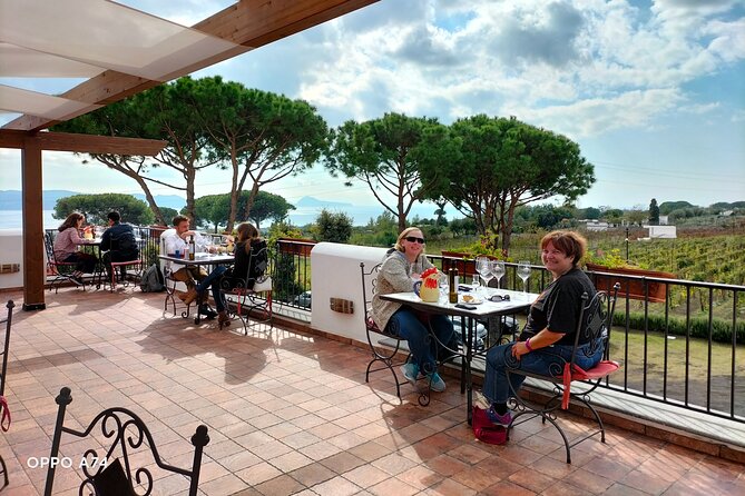 Shore excursion Naples city tour, Pompeii & Winery Cantina del Vesuvio - Weather, timing, and how to prepare without stress
