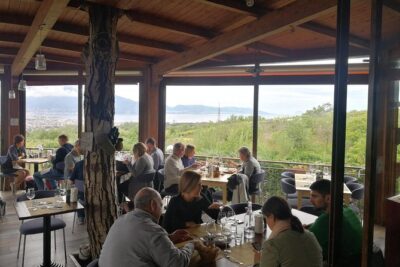 Shore Tour Pompeii Excavations 2-hour visit - Vesuvius National Park stop: optional winery lunch without the summit pressure