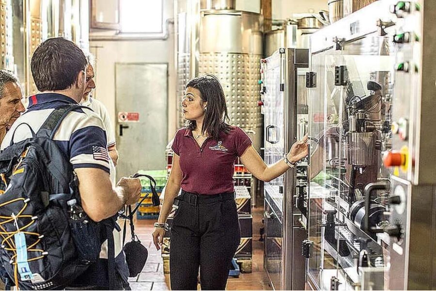 Vesuvio National Park: Wine Tasting & Tour with Light Lunch - Price and Timing: Is $105 Good Value for Two Hours?