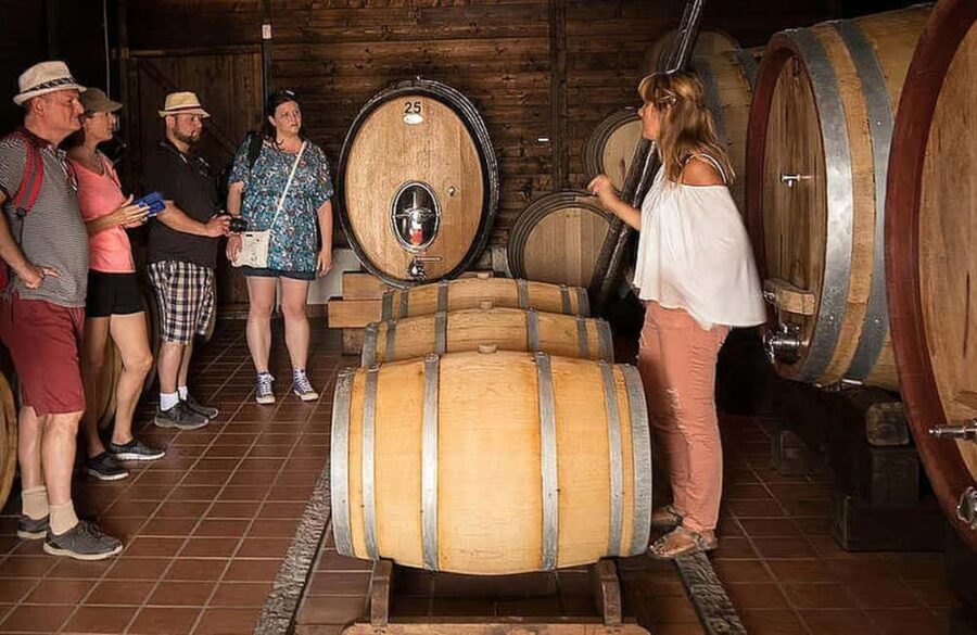 Vesuvio National Park: Wine Tasting & Tour with Light Lunch - Who This Tour Suits Best (and Who Might Want Something Else)