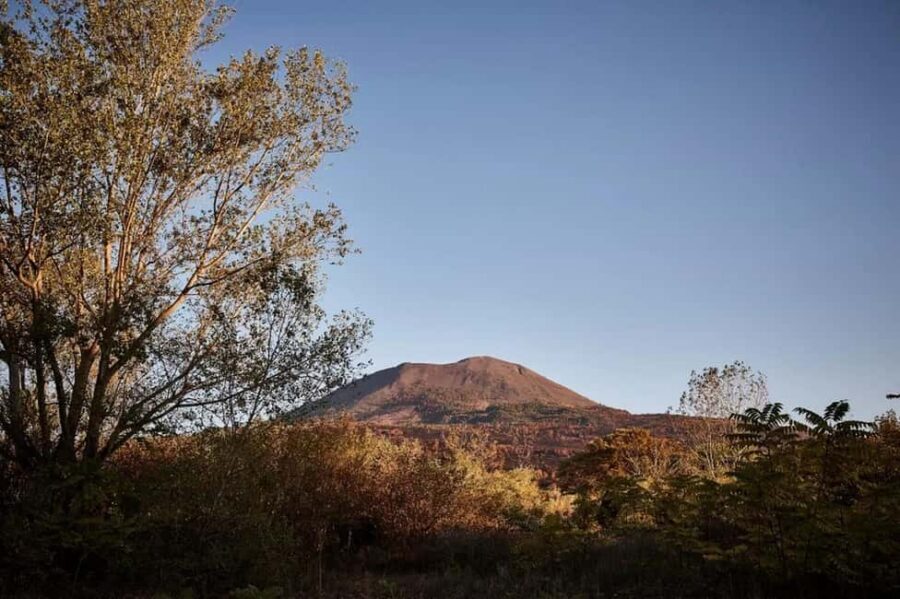 Vesuvio National Park: Wine Tasting & Tour with Light Lunch - Practical Tips for a Smooth Casa Setaro Visit