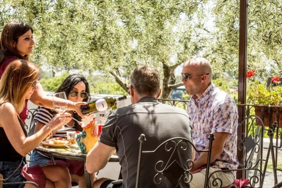 Vesuvio National Park: Wine Tasting & Tour with Light Lunch - Should You Book the Vesuvio National Park Wine Tasting With Light Lunch?