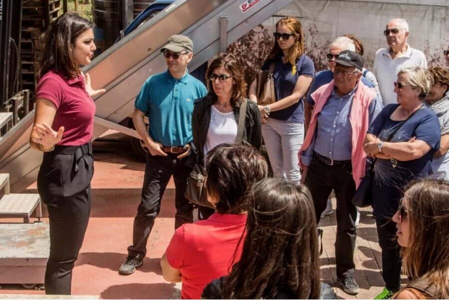 Vesuvio National Park: Wine Tasting & Tour with Light Lunch - A Guided Vineyard Walk in the Vesuvius Area