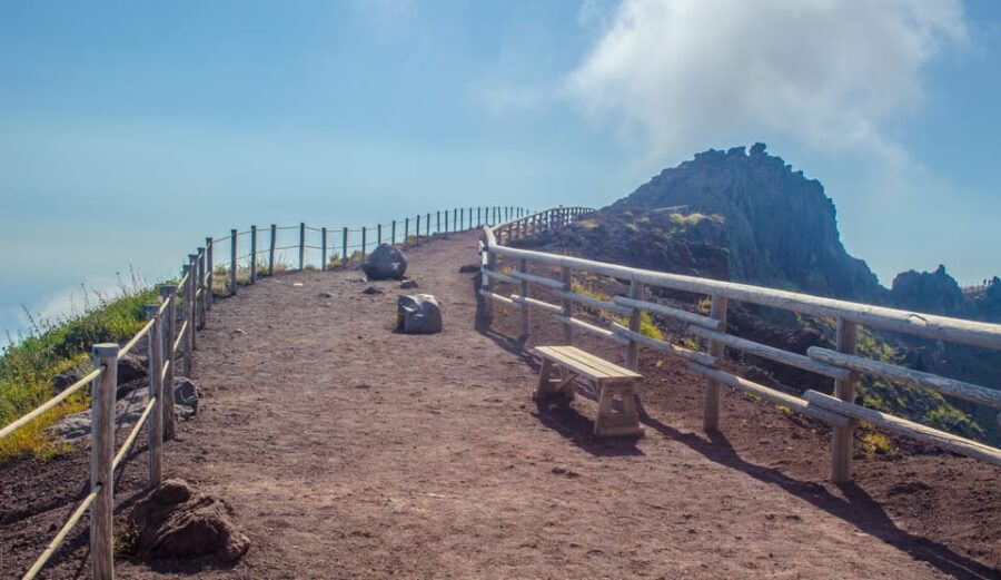 Vesuvius National Park Skip-The-Line Ticket and Audio Guide - Skip-the-line entry: what it really changes on Vesuvius
